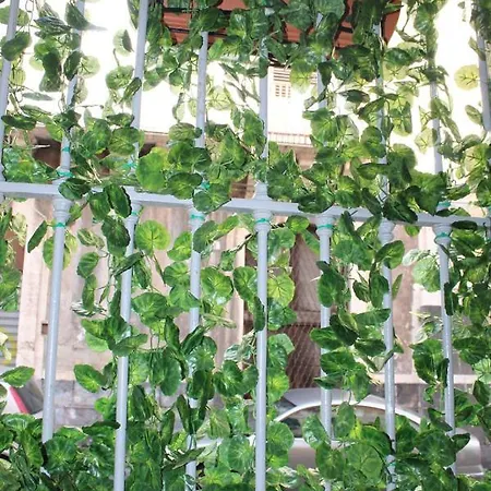 Little Sicily Catania
